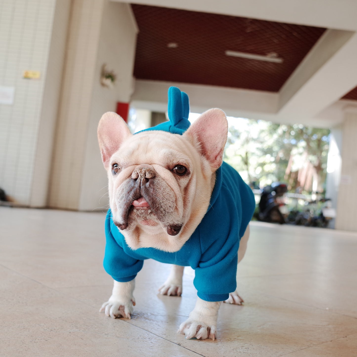 Soft Fleece Dog Hoodie Cozy Winter Pet Sweater for Small and Medium Dogs