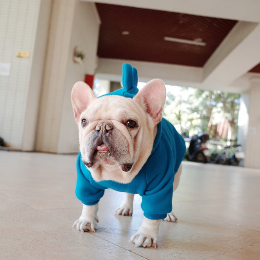 Soft Fleece Dog Hoodie Cozy Winter Pet Sweater for Small and Medium Dogs