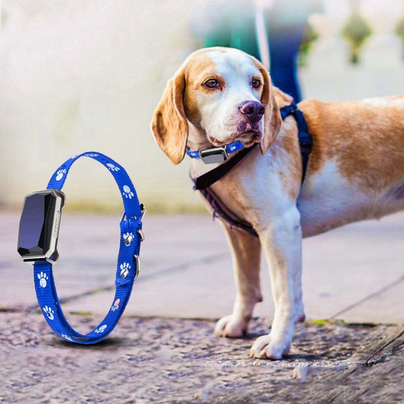 GPS Pet Positioning Collar – Advanced Tracking for Your Pet