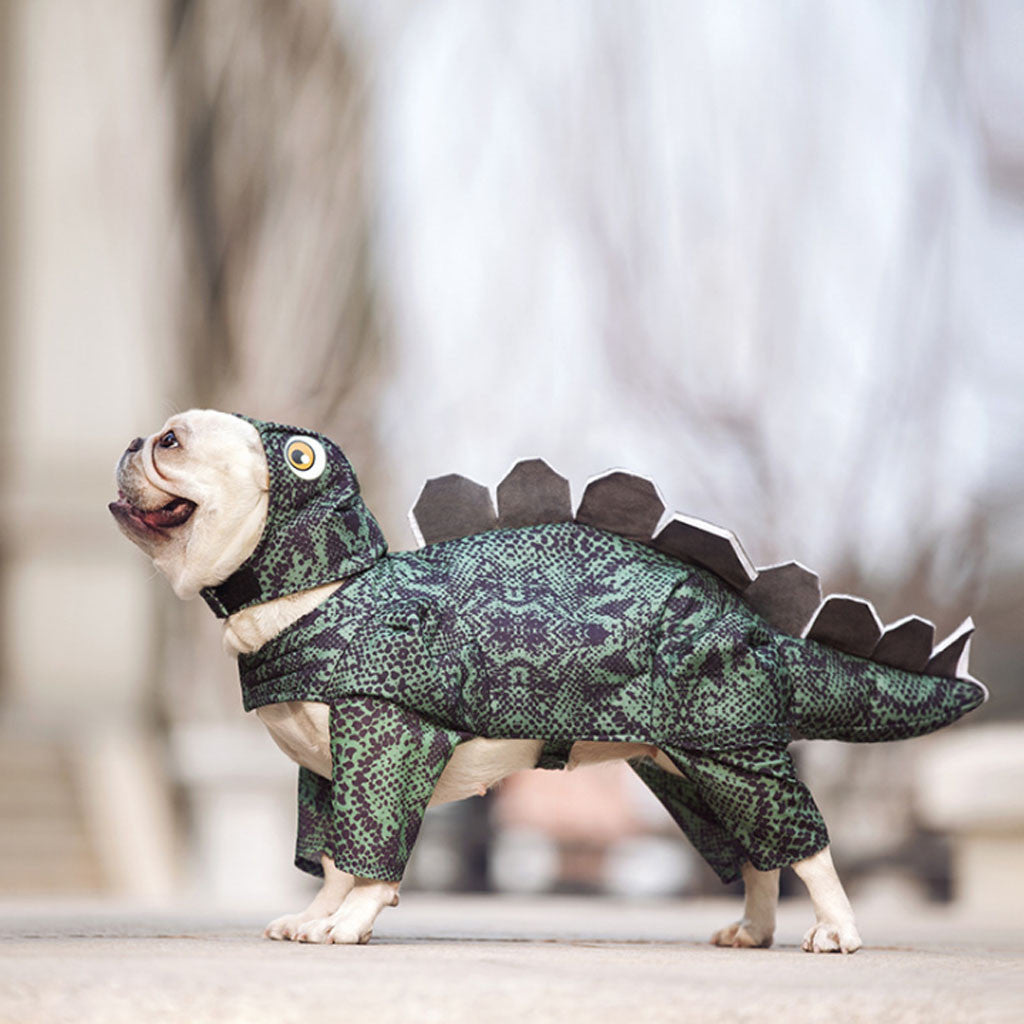 Cute Dinosaur Costume for Dogs and Cats