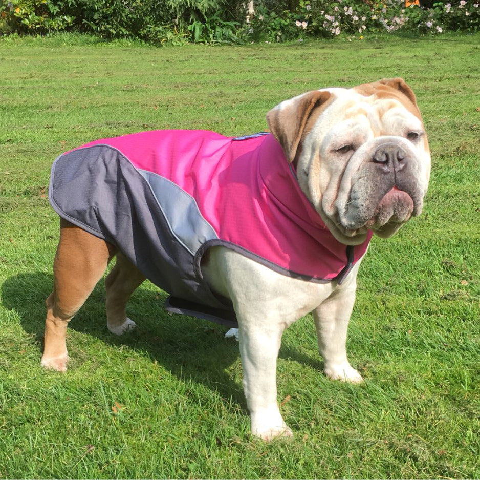 Waterproof Outdoor Poncho for Pets Protection from Rain and Wind