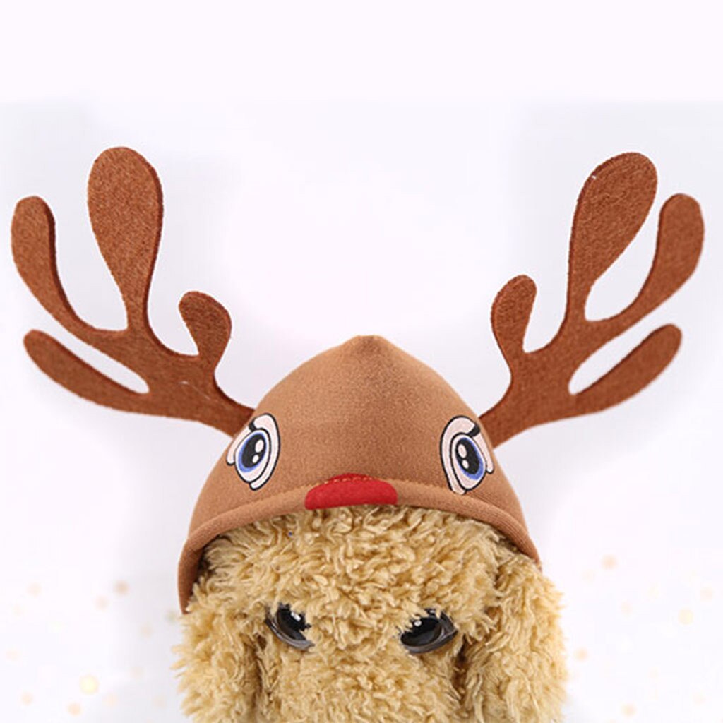 Holiday Pet Sweater for Dogs and Cats