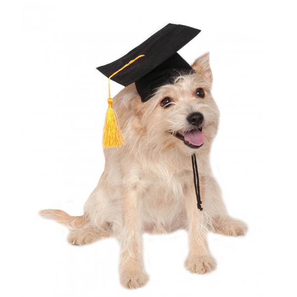 Graduation Tassel Pet Hat for Dogs and Cats