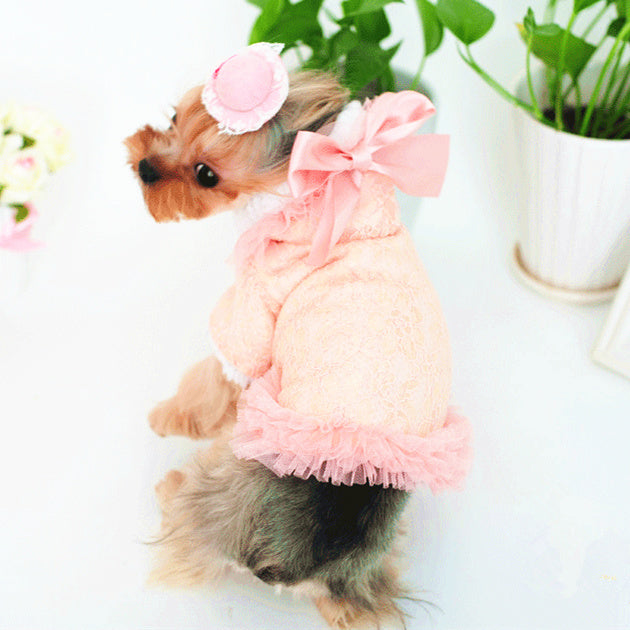 Lace bleaching plus velvet jacket