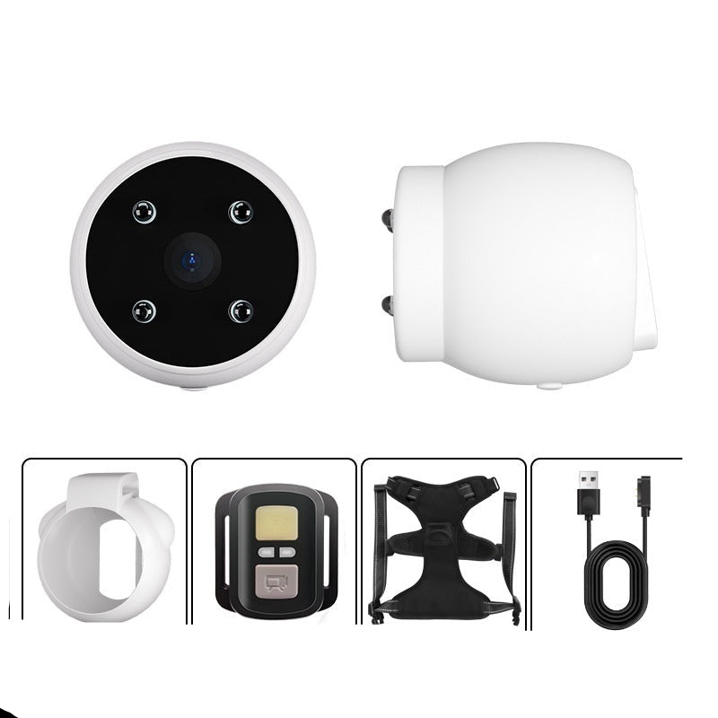 A white fluffy dog wearing a blue harness equipped with a pet recorder camera.