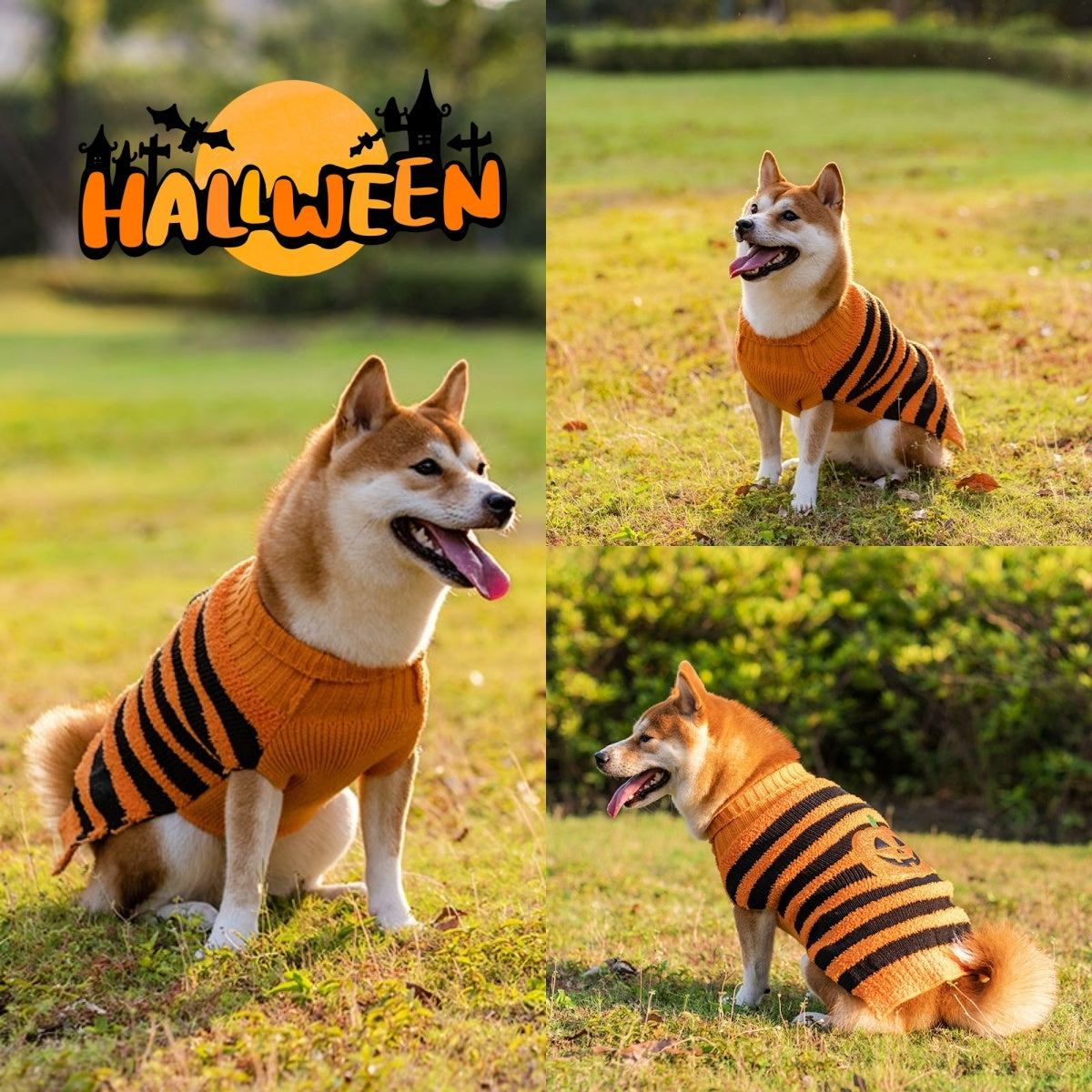 Halloween Dog Sweater with Pumpkin and Bat Pattern