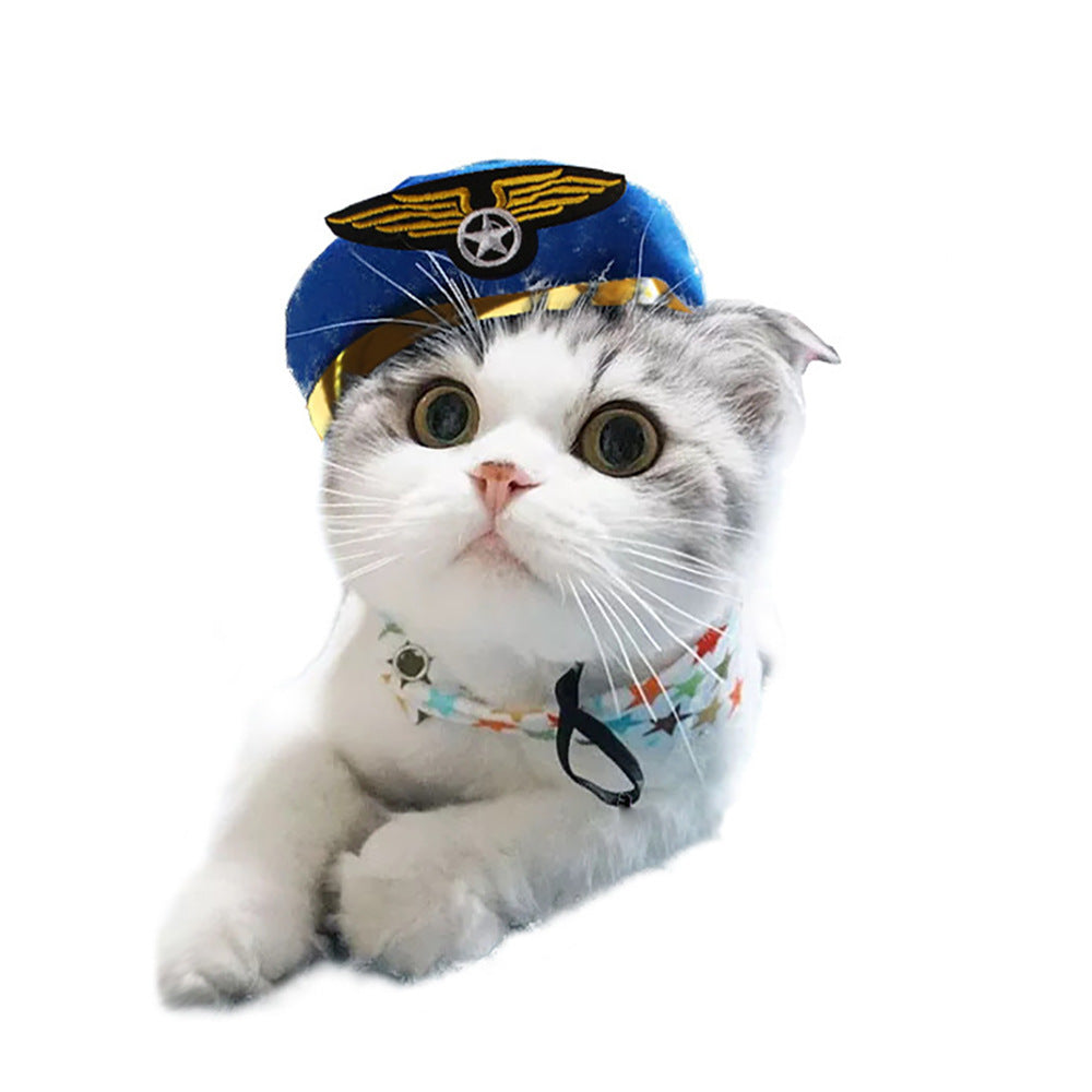 Curly Hair Pet Hat for Cats and Dogs
