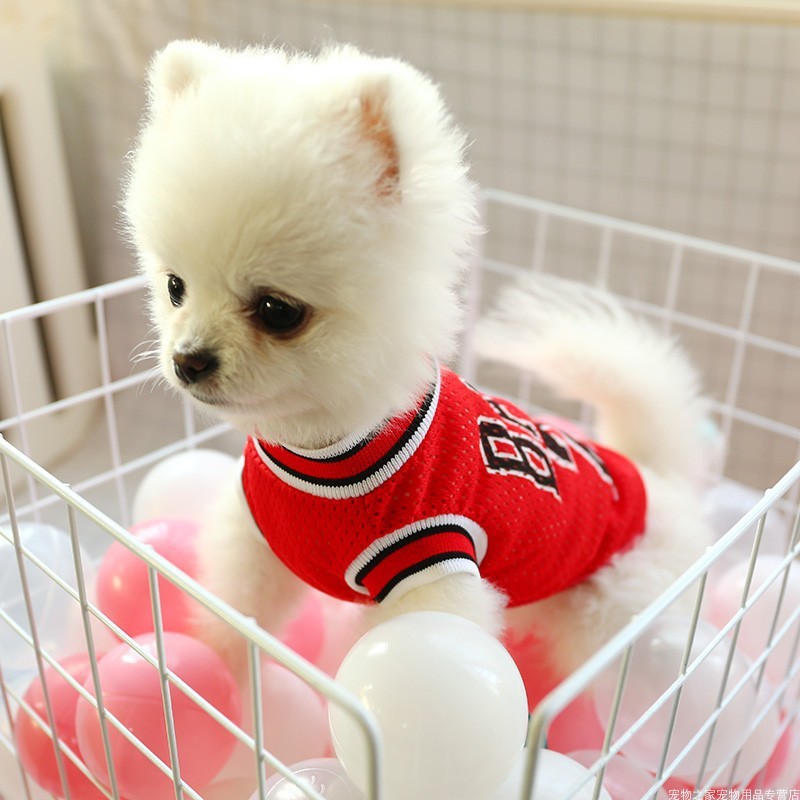Breathable Summer Dog Vest