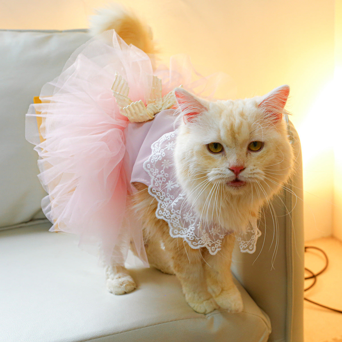 Lace Tulle Tutu Skirt for Cats – Stylish Pet Clothing for Your Feline Friend