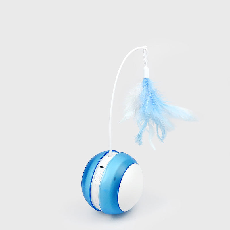 USB Free Cat Toy Ball – Rechargeable Interactive Play for Cats