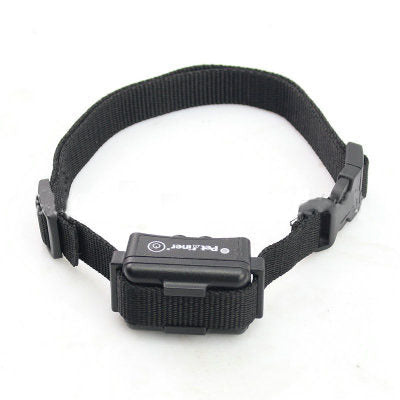 Pet Trainer for Behavioral Training And Obedience