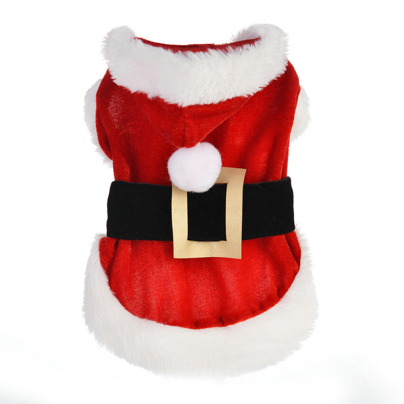 Christmas Dog Costume