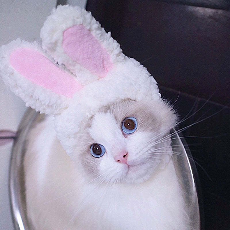 Curly Hair Pet Hat for Cats and Dogs