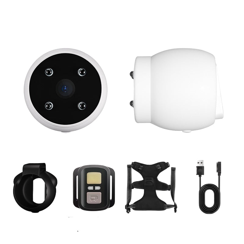 A white fluffy dog wearing a blue harness equipped with a pet recorder camera.