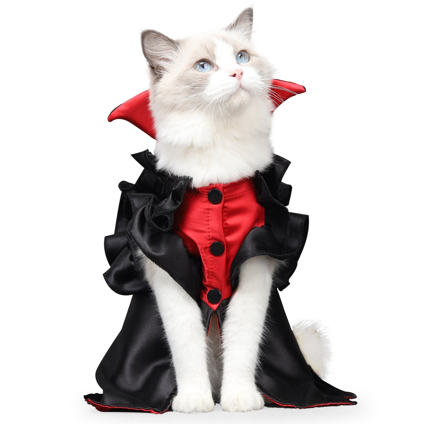 Cat Halloween Vampire Costume Pet Transformation Outfit for Spooky Season