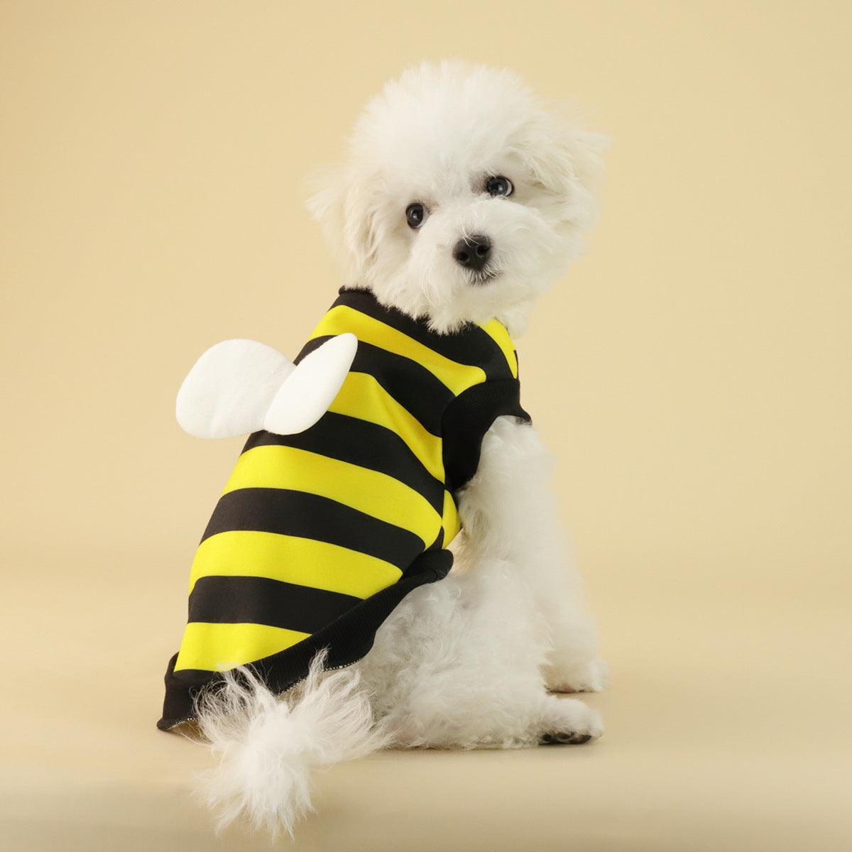 Frog Dog Sweater Fleece Clothes for Small and Medium Dogs Fashionable Pet Apparel