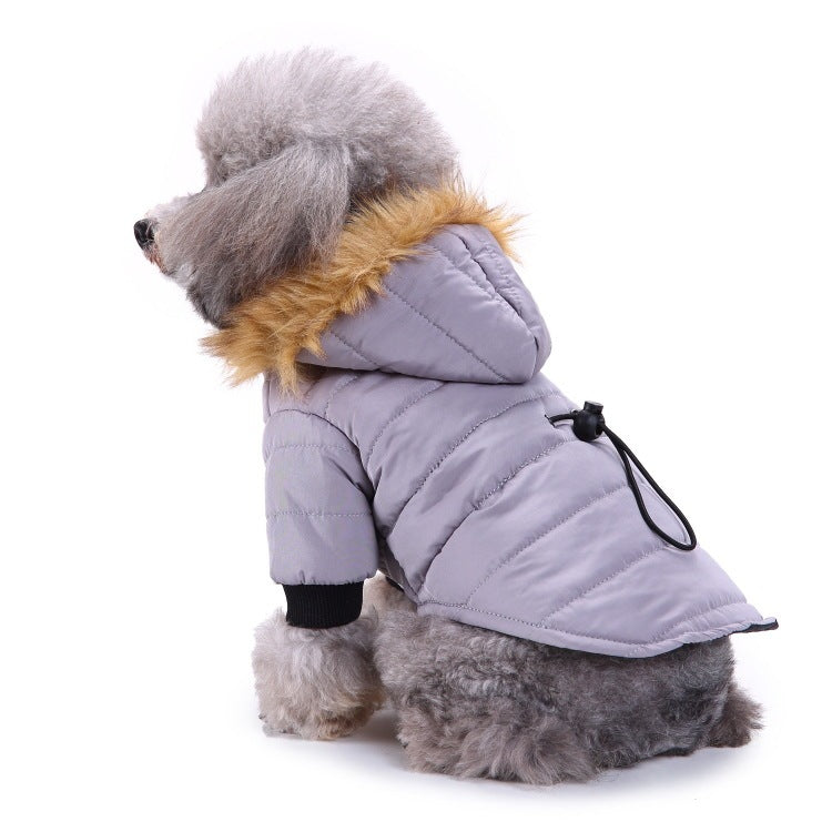 Winter Pet Clothing