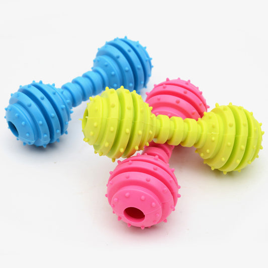 A set of colorful rubber barbell pet toys in blue, yellow, and pink colors.
