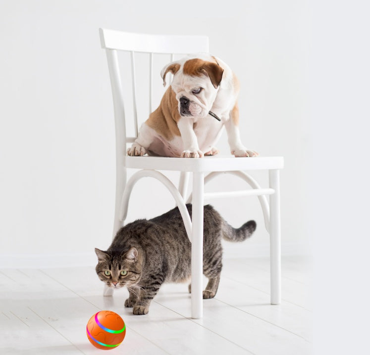 Smart Auto-Rotating Pet Ball - USB Rechargeable
