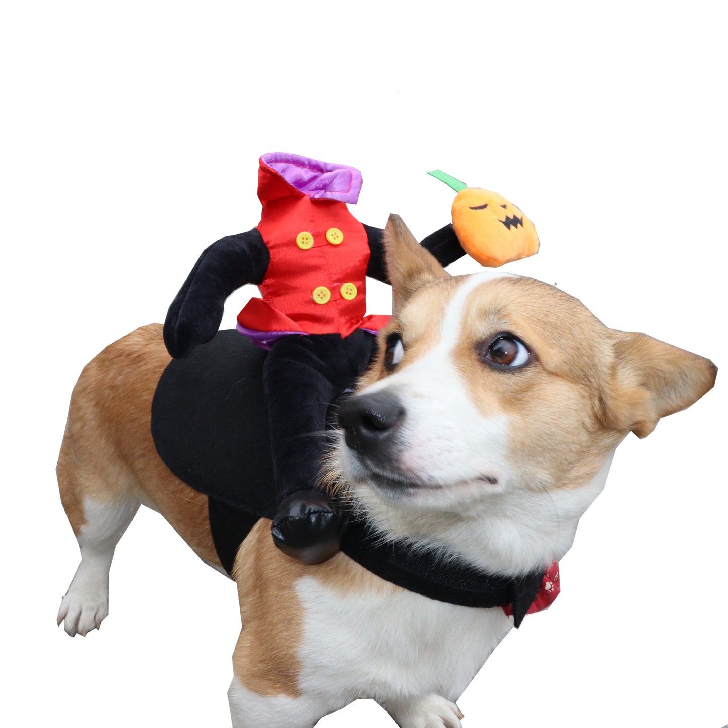 Halloween Dog Costume Funny Headless Pet Outfit
