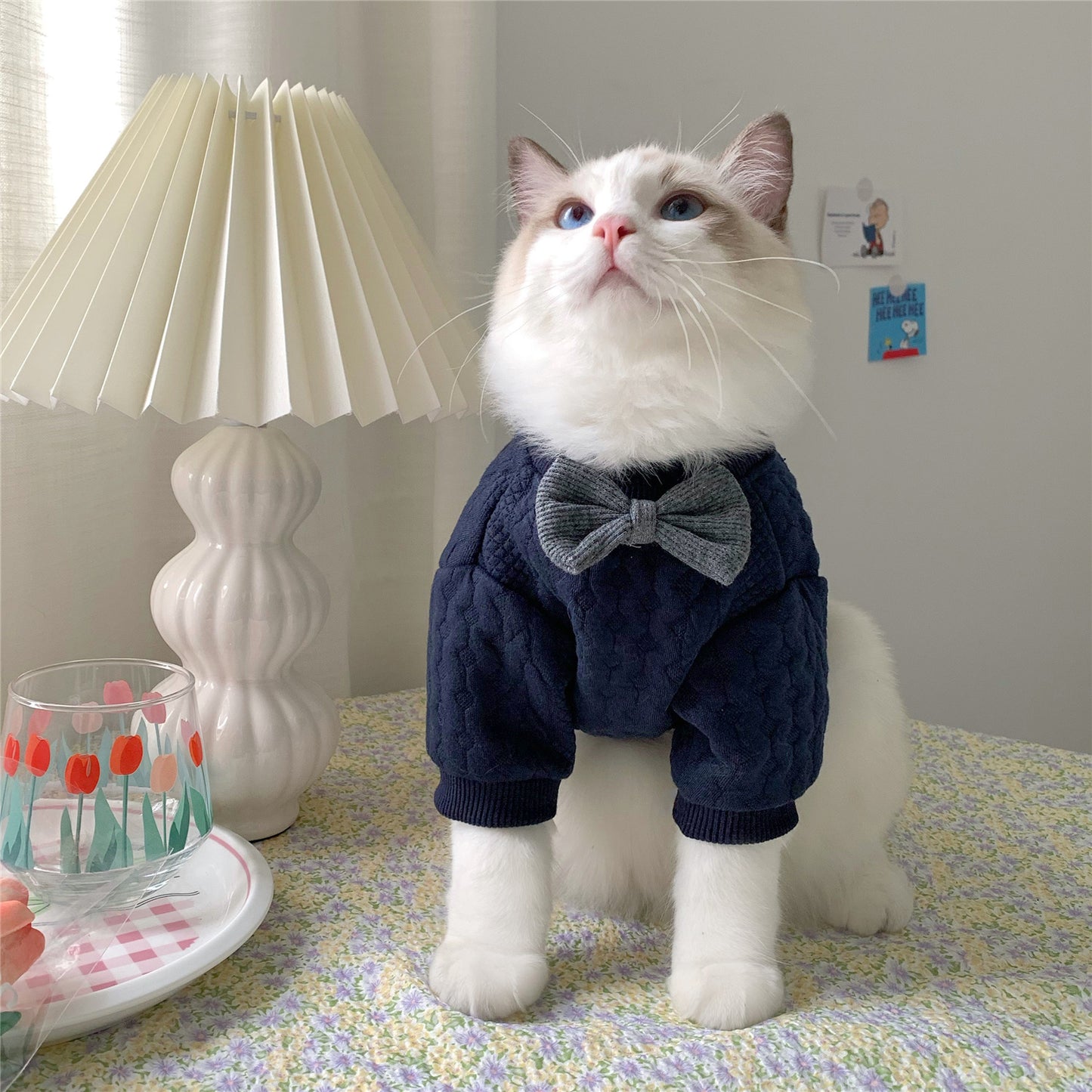 Warm Pet Feet Clothes