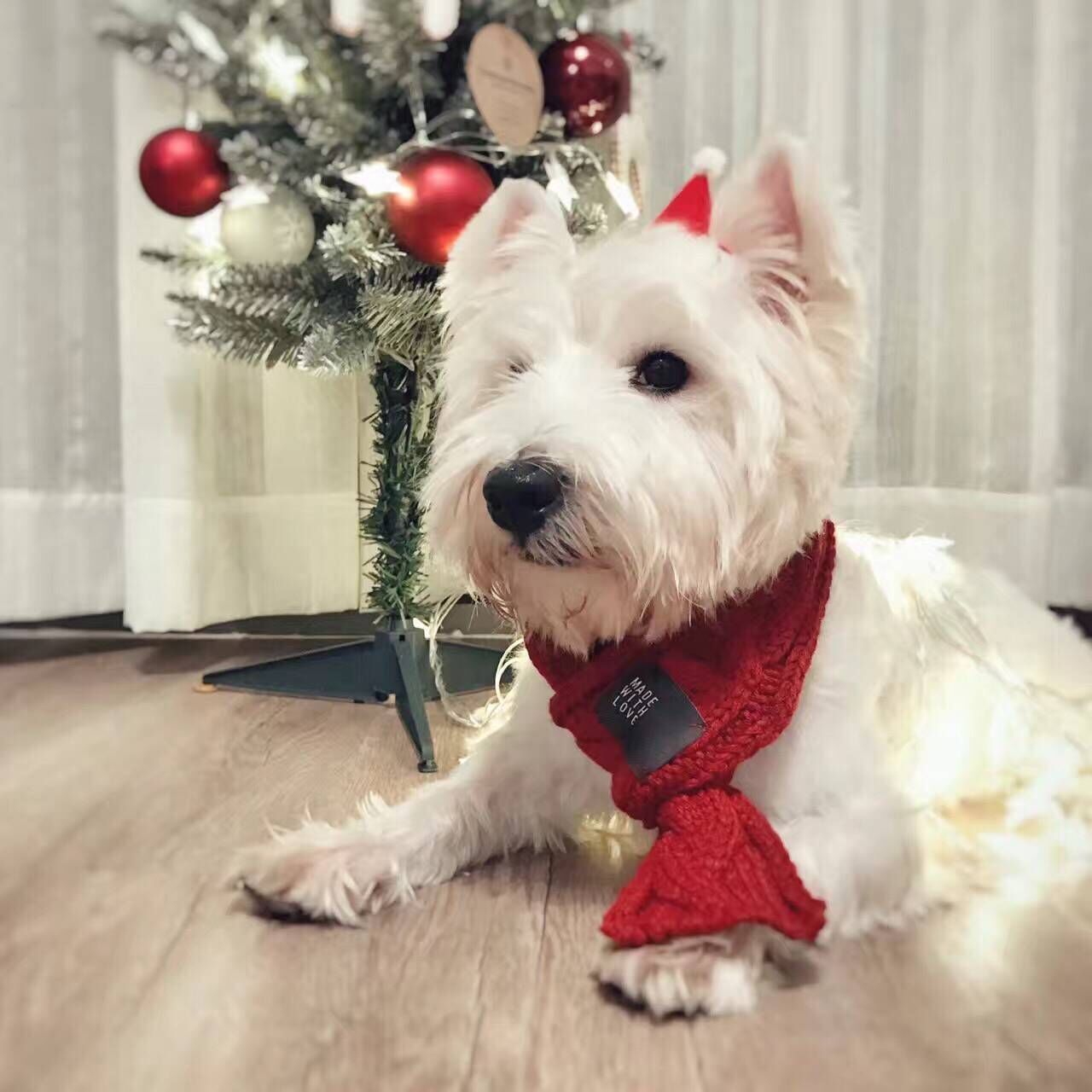Pet Scarf Warm Wool Scarf for Small Dogs Puppies and Cats Fashionable Accessories