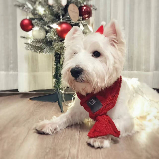 Pet Scarf Warm Wool Scarf for Small Dogs Puppies and Cats Fashionable Accessories