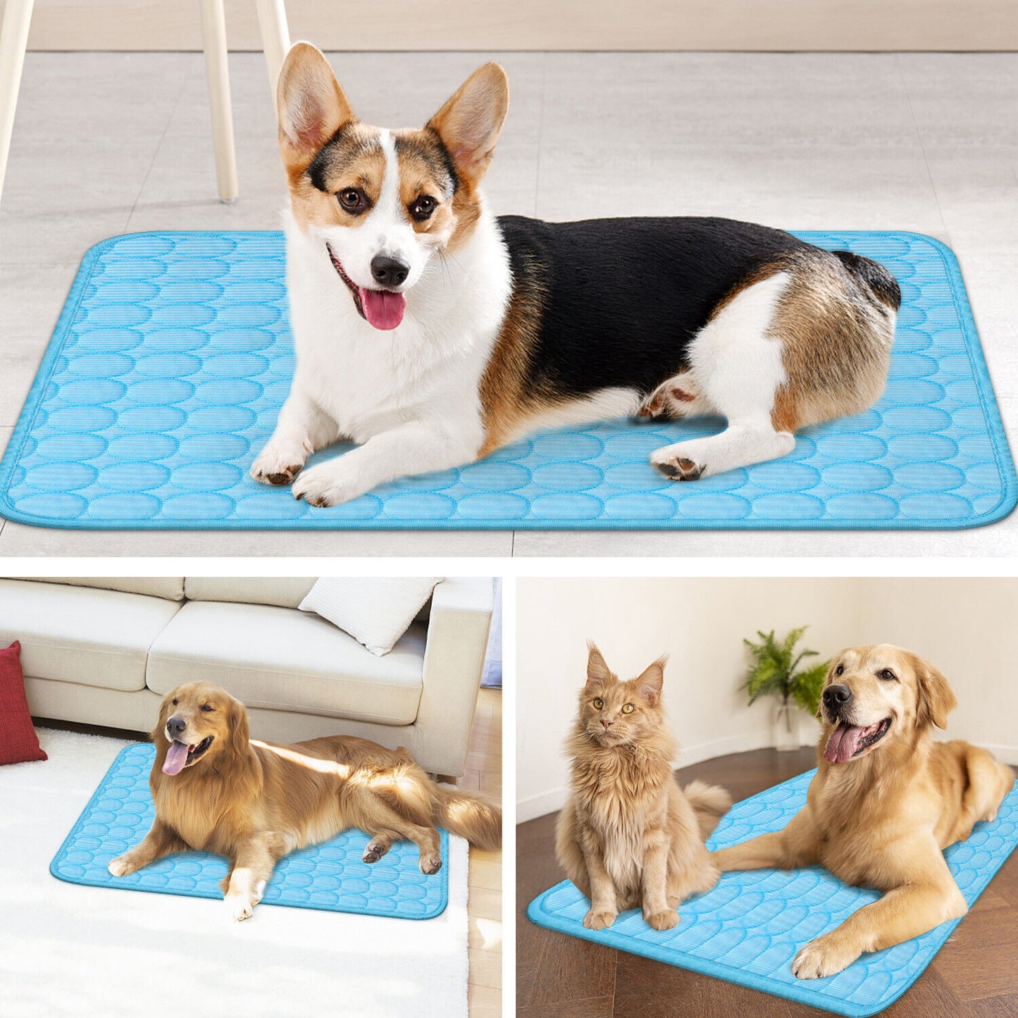 A collage of images showing a cooling mat for pets with a happy corgi on it, and other pets such as a dog and a cat lying on the mat. The mat is blue with a quilted pattern.