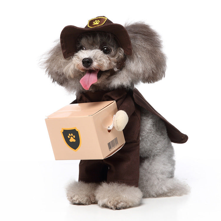 European and American Style Pet Clothing Collection