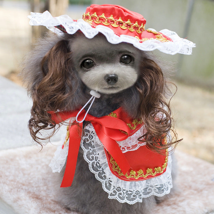 Funny Christmas Pet Costume