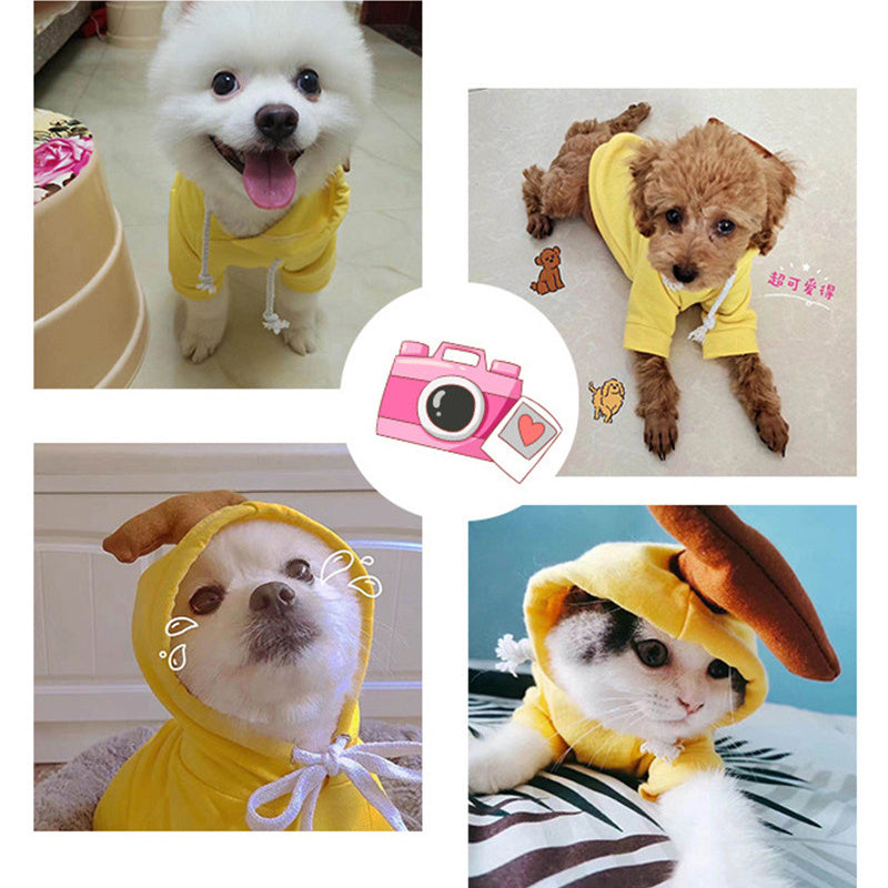 Cute and Warm Fruit Themed Dog Hoodie for Small Breeds