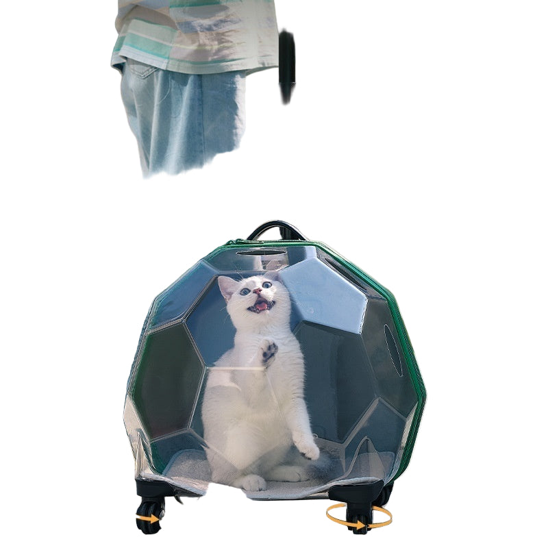 Pet Trolley – Transparent Portable Cat and Dog Luggage Suitcase