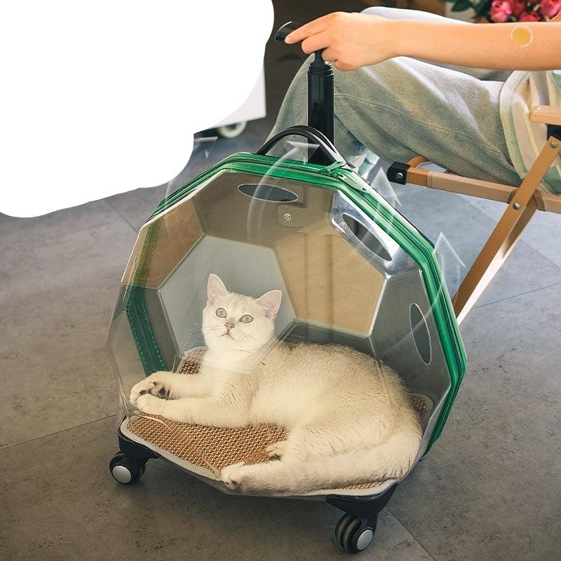 Pet Trolley – Transparent Portable Cat and Dog Luggage Suitcase