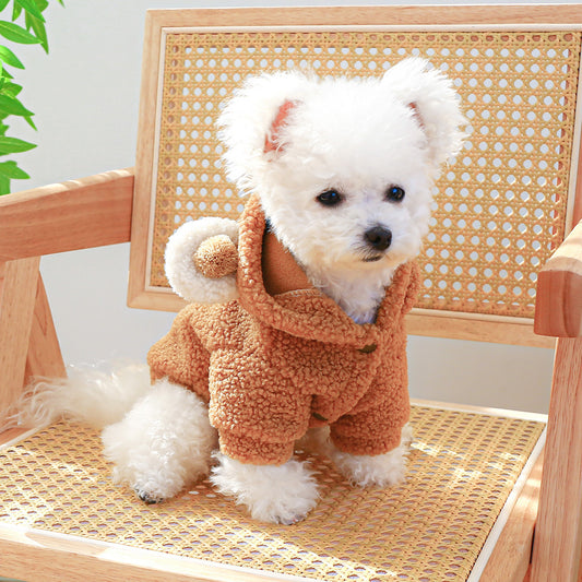 Small white dog wearing a brown outfit sitting on a wicker chair.
