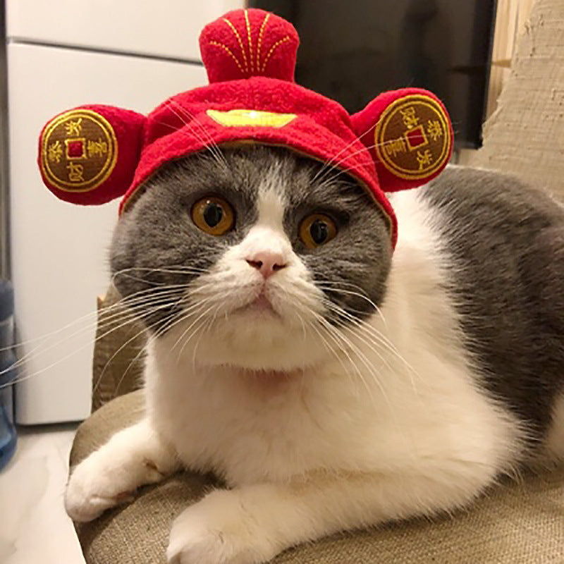 Curly Hair Pet Hat for Cats and Dogs