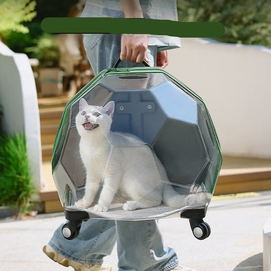 A person is pulling a transparent, medium-sized pet trolley suitcase with a cat sitting inside of it.