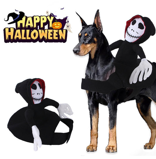 Spider Pumpkin Halloween Pet Costume for Spooky Fun