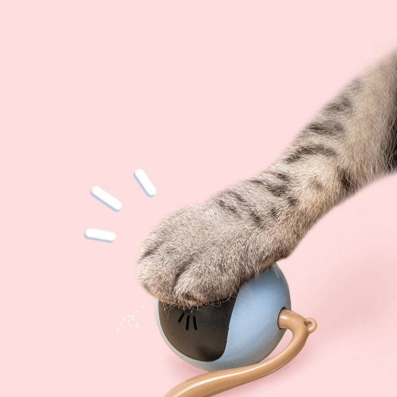 Electric Cat Toy Ball – Fun and Stimulating Play for Cats