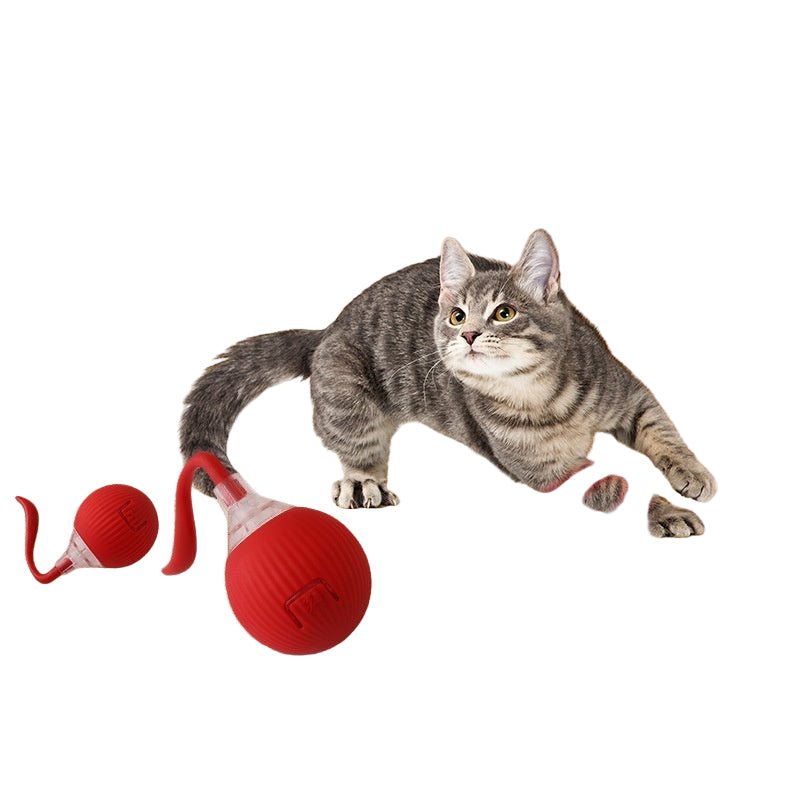 Interactive Cat Toy Ball Super Drive Cat Rolling Ball