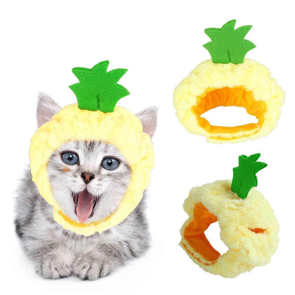 Curly Hair Pet Hat for Cats and Dogs