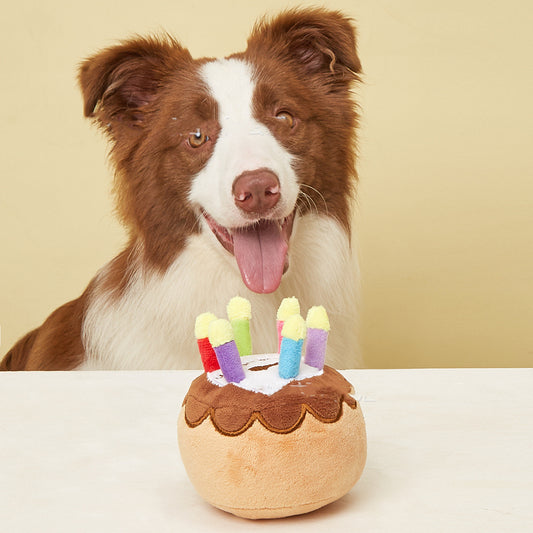 Pet Plush Toy – Birthday Candle Cake