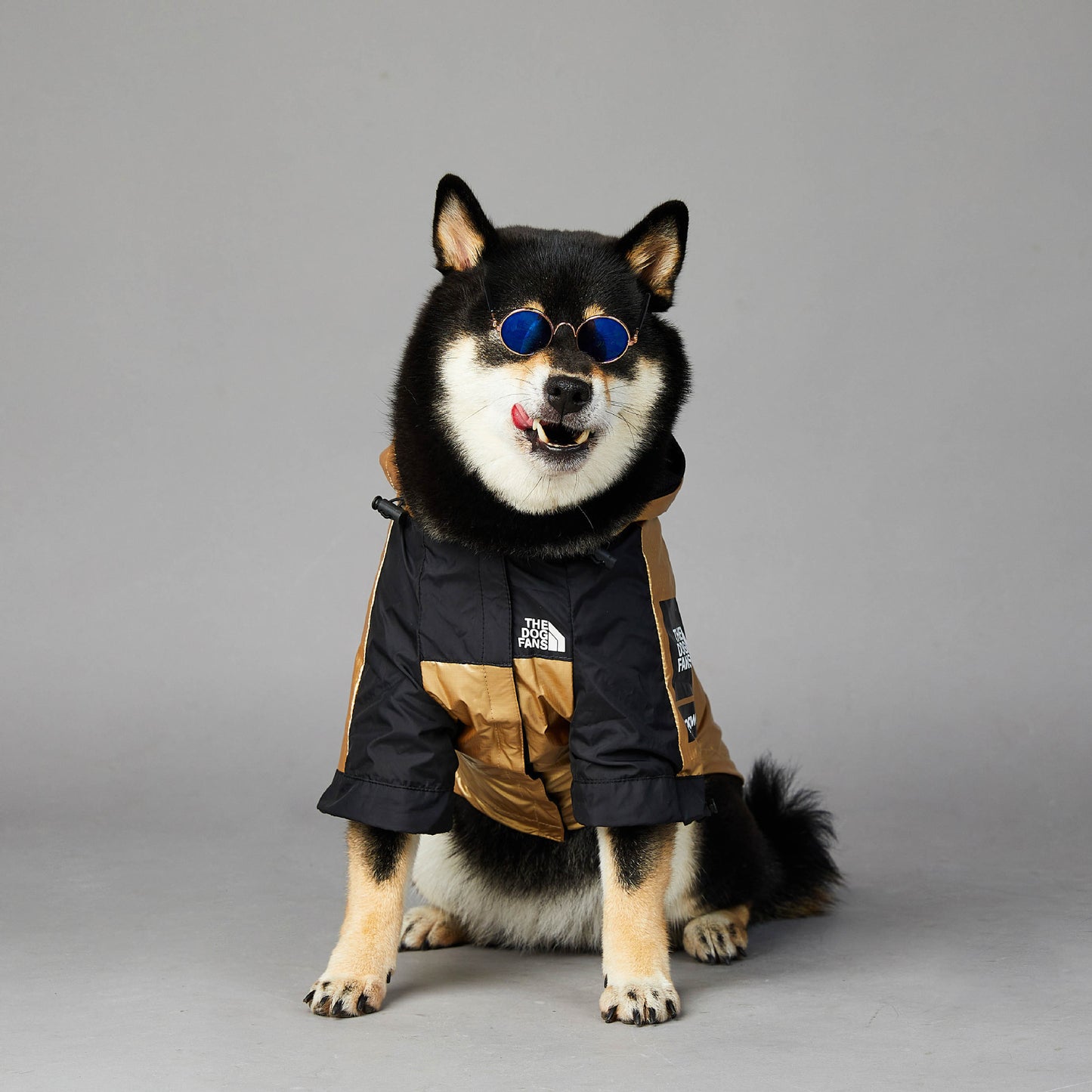Waterproof Hooded Raincoat for Large Dogs