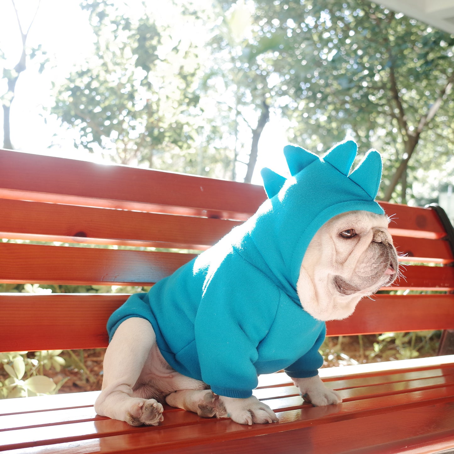 Soft Fleece Dog Hoodie Cozy Winter Pet Sweater for Small and Medium Dogs