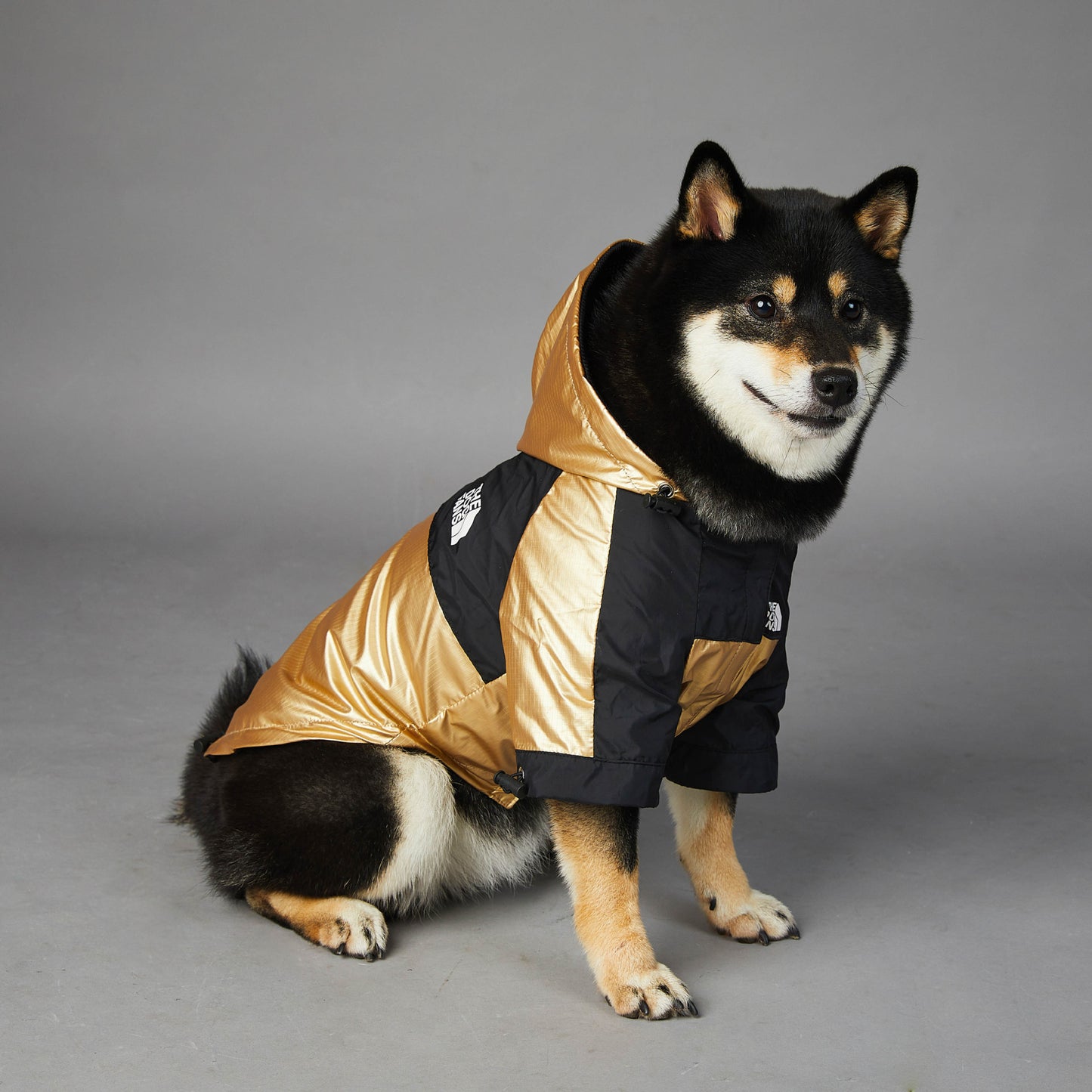 Waterproof Hooded Raincoat for Large Dogs