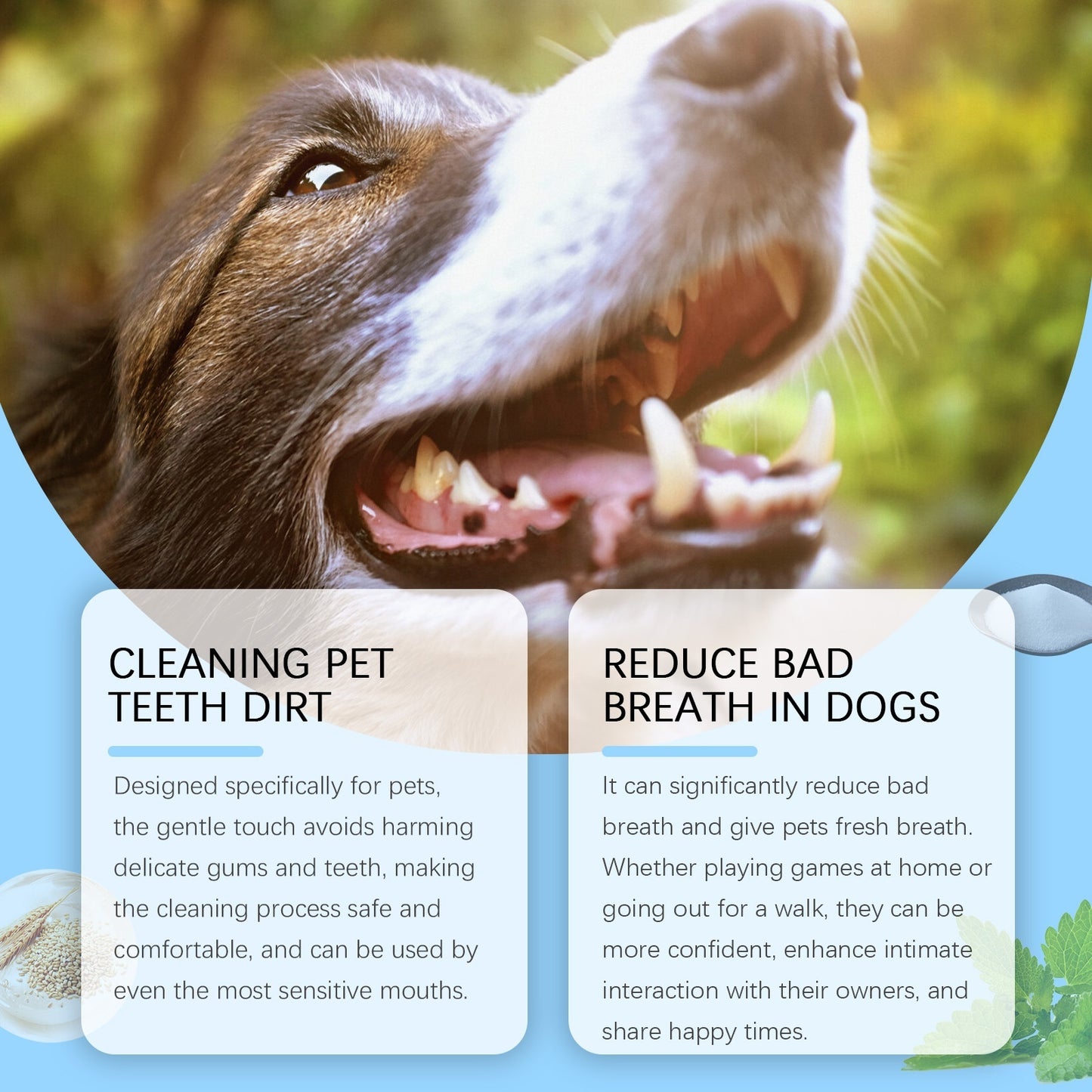 Soft Care Pet Toothbrush Pen – Gentle Daily Dental Solution for Dogs & Cats