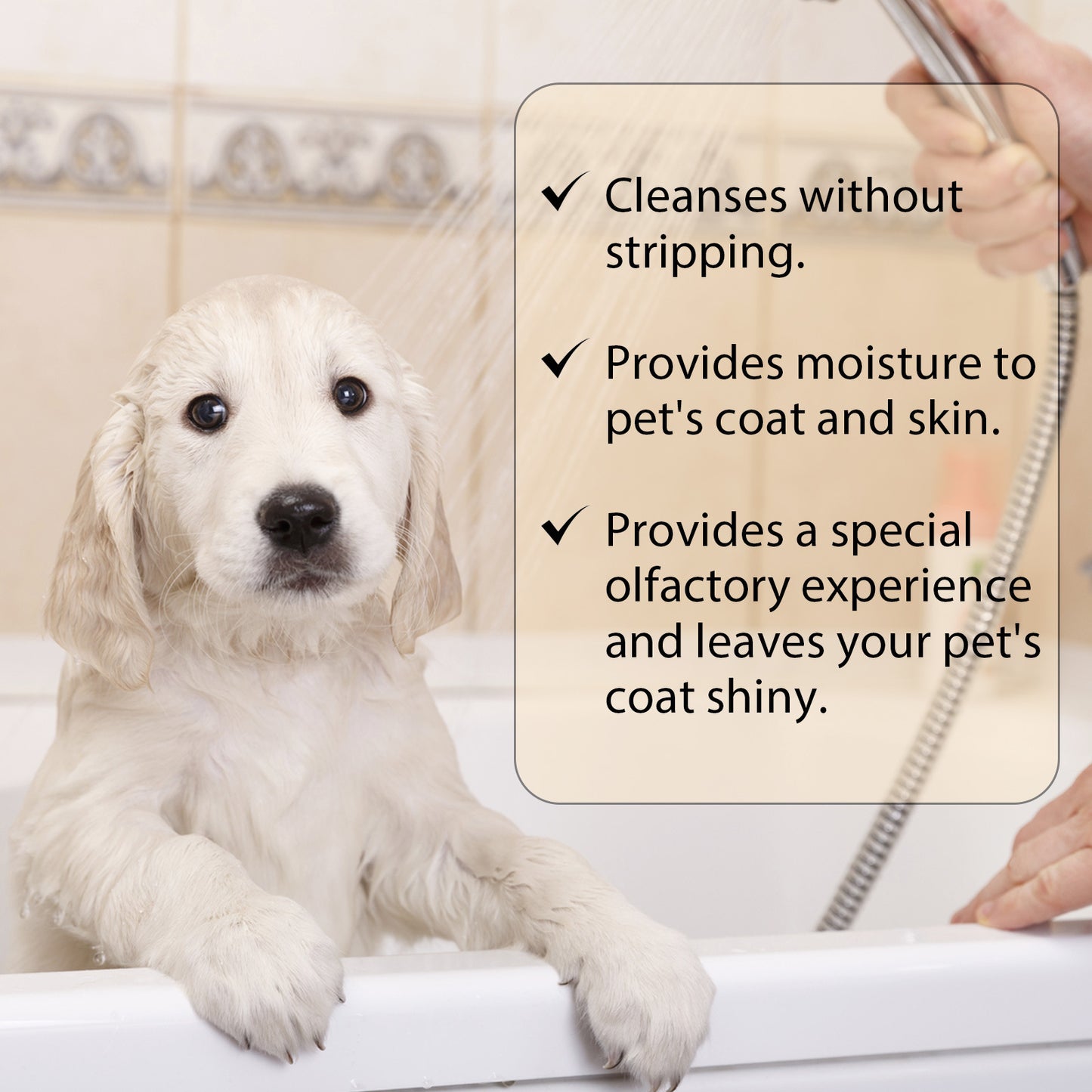 Pet Shampoo for Soft and Clean Fur