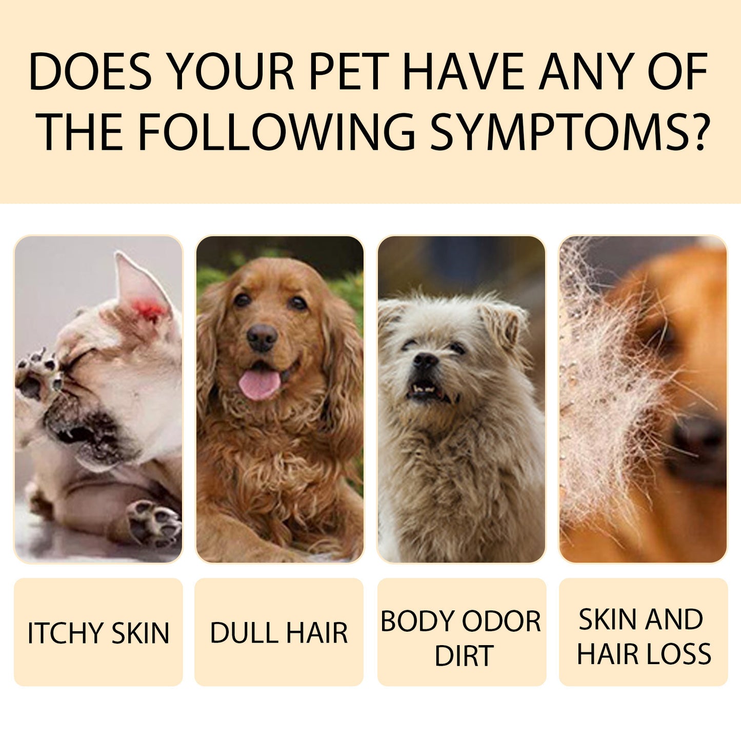 Pet Shampoo for Soft and Clean Fur