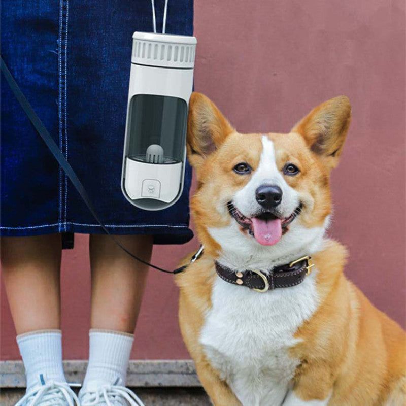 A portable dog water cup attached to a leash, with a corgi dog looking at the camera in the foreground.