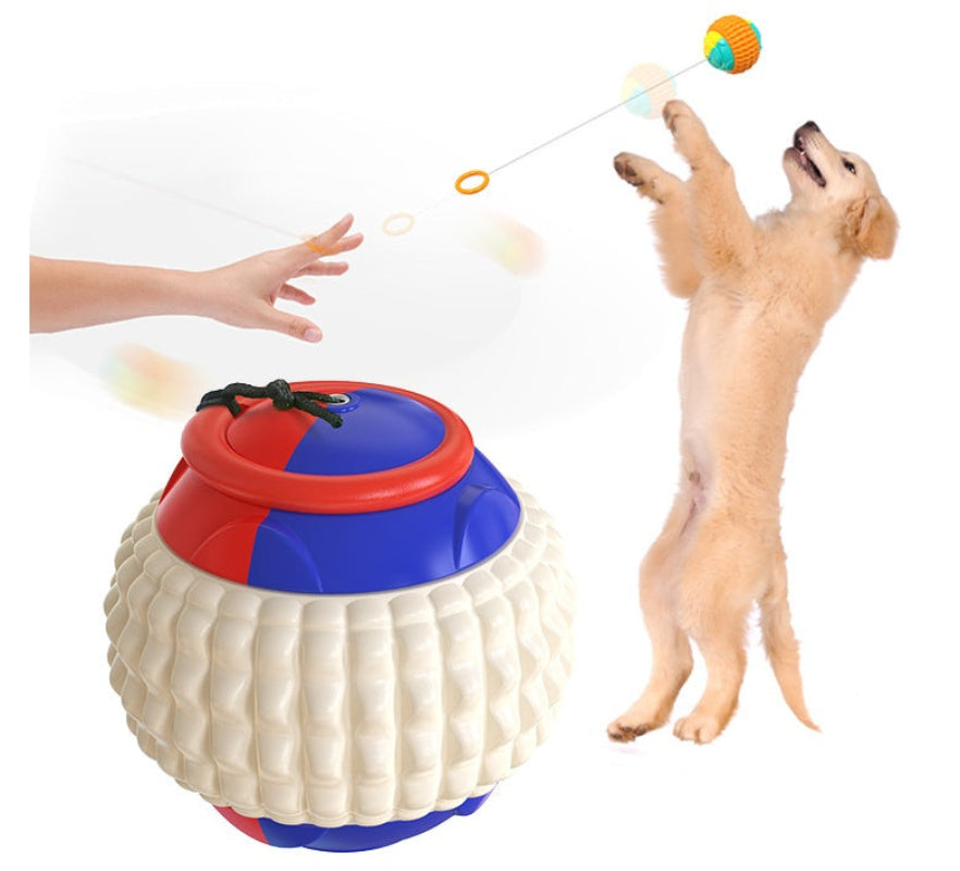 A dog reaching up to catch a colorful toy ball that is being hand-thrown by a human