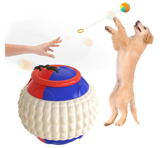 A dog reaching up to catch a colorful toy ball that is being hand-thrown by a human